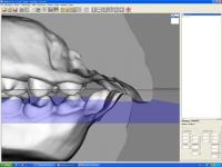 Cyfrowy model O3DM