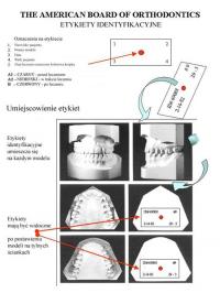 The American Board of Orthodontics - etykiety identyfikacyjne
