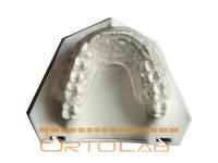 Retainer Osamu